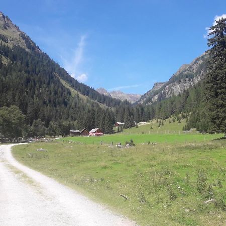 Haus Schreilechner Daire Mariapfarr Dış mekan fotoğraf
