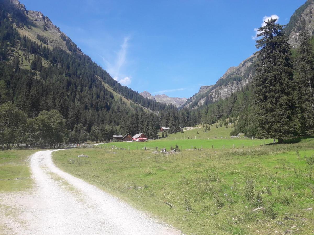 Haus Schreilechner Daire Mariapfarr Dış mekan fotoğraf